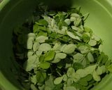 Foto langkah ke 1 dari resep Bakwan Daun Kelor.