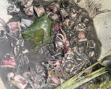Foto langkah ke 5 dari resep Cumi Masak Hitam Sat Set.