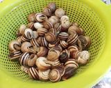 Foto del paso 2 de la receta: Cabrillas en salsa de tomate