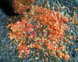 Foto langkah ke 3 dari resep Kukur Bilungka (Timun Kuah Santan).