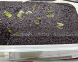 Foto langkah ke 9 dari resep Bolu kukus ketan hitam irit gampang dan simple.