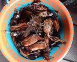 Foto langkah ke 1 dari resep Emprit Tumis Pedas.