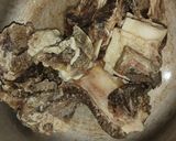 Foto langkah ke 2 dari resep Sop Iga Sapi.