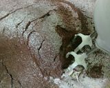 Foto langkah ke 3 dari resep Brownis kukus soft dan simple.