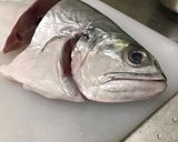 紅燒澎湖野生飛扁魚的食譜步驟1照片