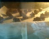 Foto langkah ke 6 dari resep Kue Cookies orang males, buru2, dadakan (famous amos gadungan).