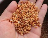Hình bước làm 5 của món Sữa Đậu Nành Gạo Rang