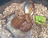 Foto del paso 1 de la receta: Bombones de avena