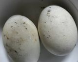Hình bước làm 2 của món Cháo hột vịt bắc thảo