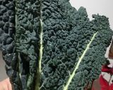 Foto del passaggio 1 della ricetta Pesto di cavolo nero