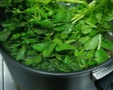 A picture of step 5 of Chinese Watercress Soup 西洋菜湯.