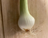Foto del paso 2 de la receta: Hojaldre relleno de atún