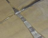 A picture of step 3 of Mahamri.
