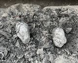 A picture of step 1 of Potatoes in the embers.