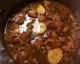 Foto del paso 18 de la receta Estofado de carne de cordero deshidratada