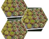 A picture of step 2 of Cup cake's topping.