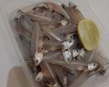 Foto langkah ke 1 dari resep Ikan Teri Segar Goreng Krispi.