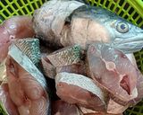 Hình bước làm 1 của món Cá măng (cá nhồng) sốt cà