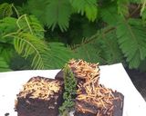 Foto langkah ke 7 dari resep Brownies Panggang.