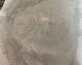 Foto del paso 1 de la receta: Sepia CRISP Whirlpool