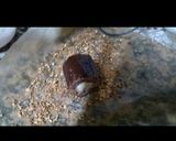 Une image de l'étape 3 de Dessert de fromage avec une banane pressée.