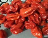 Une image de l'étape 1 de Sauces aux trois piments, coriandre et radis noir.