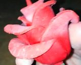 A picture of step 9 of Valentines day special fondant red rose cake topper.