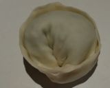 Foto del paso 4 de la receta: Sorrentinos express 