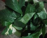 Foto langkah ke 2 dari resep Tumis Daun Singkon Dayak Modang.
