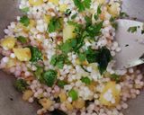 સાબુદાણાની ખીચડી (Sabudana Khichdi Recipe In Gujarati) રેસીપી સ્ટેપ3ફોટો