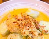 Foto langkah ke 4 dari resep Opor ayam pejantan.