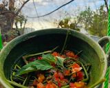 Foto del paso 7 de la receta: Bishate a la mexicana