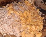 Foto langkah ke 3 dari resep Mi Letheg Bumbu Seblak Endesss.