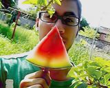 Foto del paso 5 de la receta: Paleta de sandía facilísima para este verano