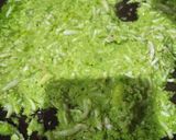Foto langkah ke 6 dari resep Jamur Teri Sambal Hijau.