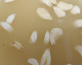 Foto del paso 1 de la receta: Vinagreta de mostaza