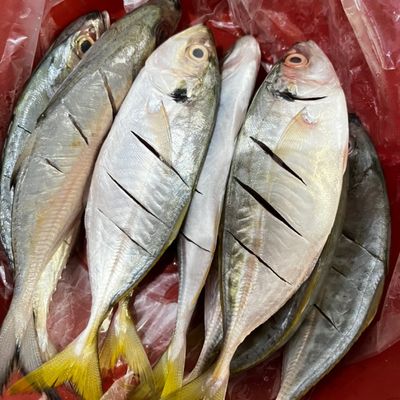 Langkah 1
