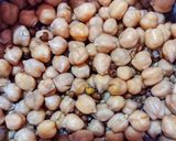 চিকেন চানা মশলা (Chicken Chana Masala recipe in Bengali) রেসিপি ধাপ - 1 ছবি