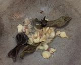 Foto langkah ke 2 dari resep Sayur terong hijau santan.