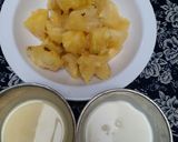 Pineapple whipmatakin girki1 hoto