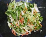 Foto del paso 2 de la receta: Ensalada de lechuga, repollo y zanahoria con aderezo 🥗