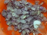 Jagung sangrai