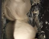 Foto del paso 3 de la receta: Roscón de Reyes con masa madre en panificadora