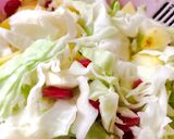 फ्राई पत्ता गोभी मिक्स वेज (Fry patta gobhi mix veg recipe in Hindi) रेसिपी चरण 1 फोटो
