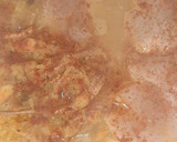 Foto del paso 5 de la receta: Paella de mariscos