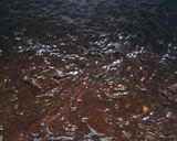 Foto langkah ke 4 dari resep Brownies coklat pisang #masakditahunbaru.