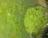 A picture of step 7 of Potato boat loaded with paneer bhurji in green peas gravy.