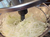 Crunchy Asian Slaw