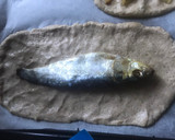 Foto del paso 6 de la receta: Coques de divendres(Cocas de viernes)