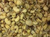 شوربه فول نابت بطريقتي جنااااان 🍲